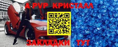 стафф Донецк